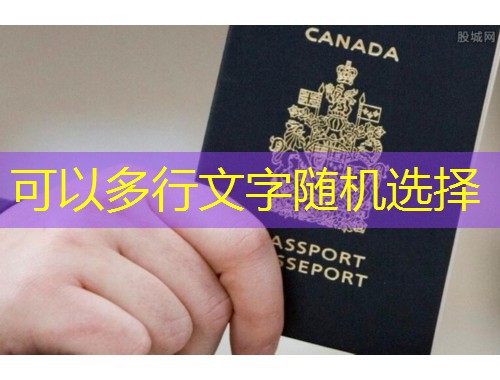 合肥快速移民中介：30天拿到枫叶卡，他们究竟做对了什么？